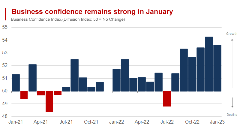 Business Confidence Remains High in India in January, but Economic Activity Takes a Step Back