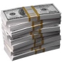 Dollarisation in Theory and Practice
