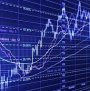 The Influence of Political Distortions on Economic Performance