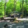 The Nature of Corruption in Forest Management