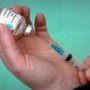 The Value of Vaccination