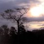 Paradoxes in Biodiversity Conservation