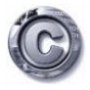 The Economics of Copyright