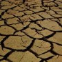 Governments and Climate Change Issues
