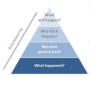 Growth Strategies and Dynamics