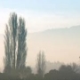 Clearing the Fog