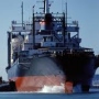 The Collapse of Global Trade