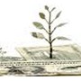Towards New Thinking in Economics