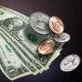 The International Liquidity Crisis of 2008–2009