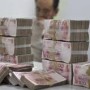 The Shadow Economy Labour Force
