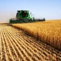 Agricultural Statistics