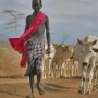 Pastoralism: Africa’s Invisible Economic Powerhouse?