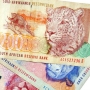 African Diaspora Remittances are Better than Foreign Aid Funds