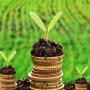Measuring Natural Capital