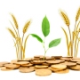 Measuring the Impact of Agricultural Finance on Rural Inequality: Evidence from Egypt
