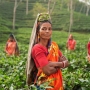 The Financial Crisis and Gender: Assessing Changes in Workforce Participation for Rural India