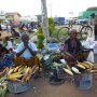 The Informal Economy: Who Wins, Who Loses and Why We Care