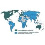 What Do We Know About the Shadow Economy?