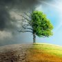 Climate Change and Economic Policy