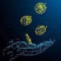 Coronavirus: The Case for Digital Money?