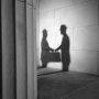 Shedding Light on the Shadow Economy: A Global Database and the Interaction with the Official One