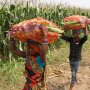 Migrant Workers