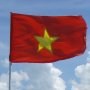 Measuring the Non-observed Economy in Vietnam