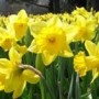 "There Will Be Growth in the Spring"