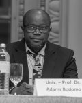 Adams Bodomo